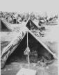 Tents on 